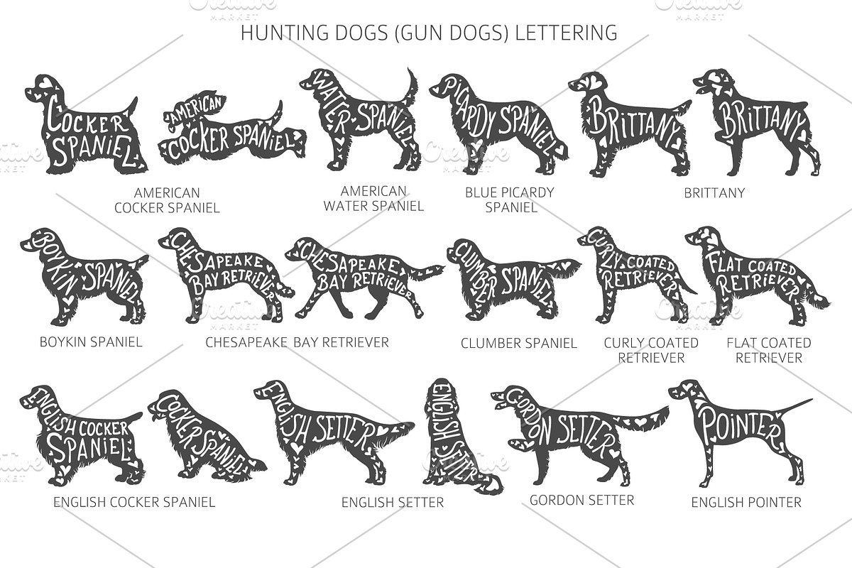 Gun Dogs (Hunting Dogs) Silhouettes, an Animal Illustration by pet design shop (Photo 4 of 13)