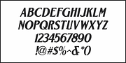Weekend Date JNL, a Serif Font by Jeff Levine Fonts (Thumbnail 5 of 5)