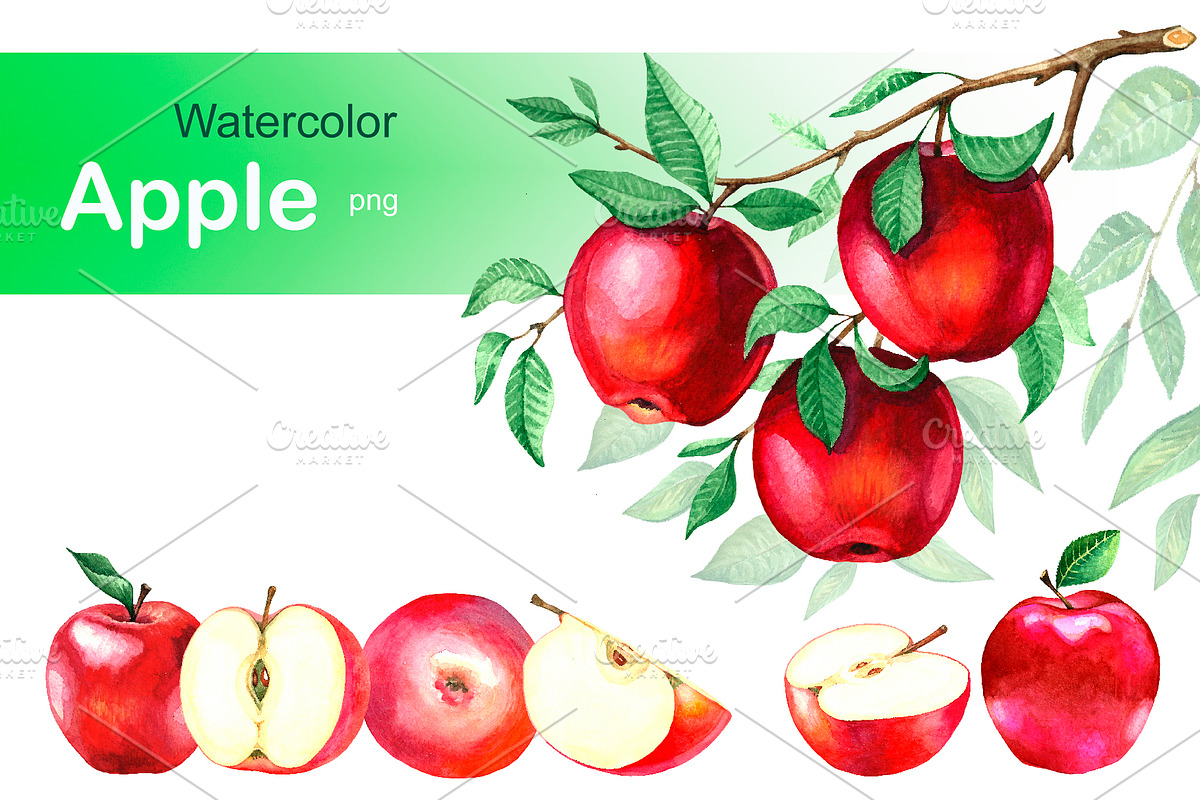 Watercolor apples. Collection., a Food Illustration by Art Watercolor (Photo 1 of 3)