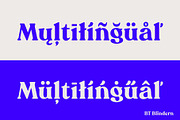 BT Blindern, a Serif Font by BadType (Thumbnail 2 of 9)