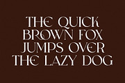 CHOASE Modern Ligature Serif, a Serif Font by Alfinart (Thumbnail 4 of 9)