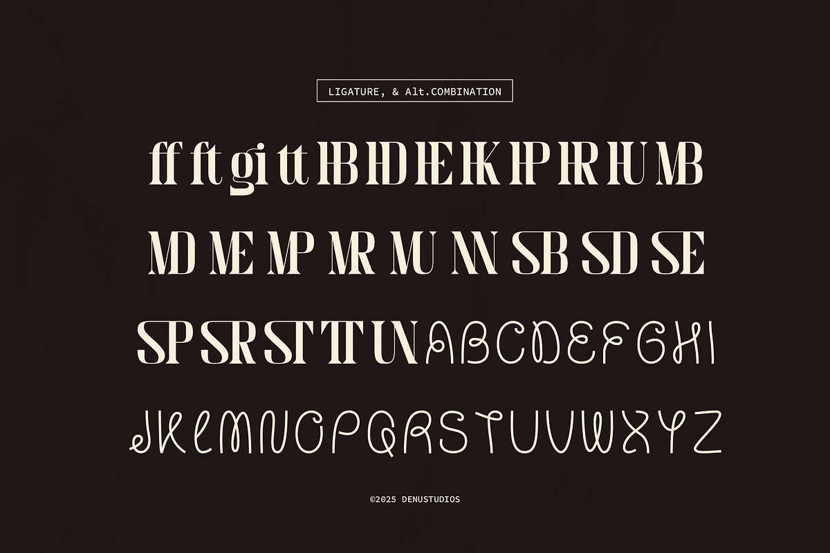 Meciera | Combination Serif, a Serif Font by Denustudios (Photo 13 of 13)