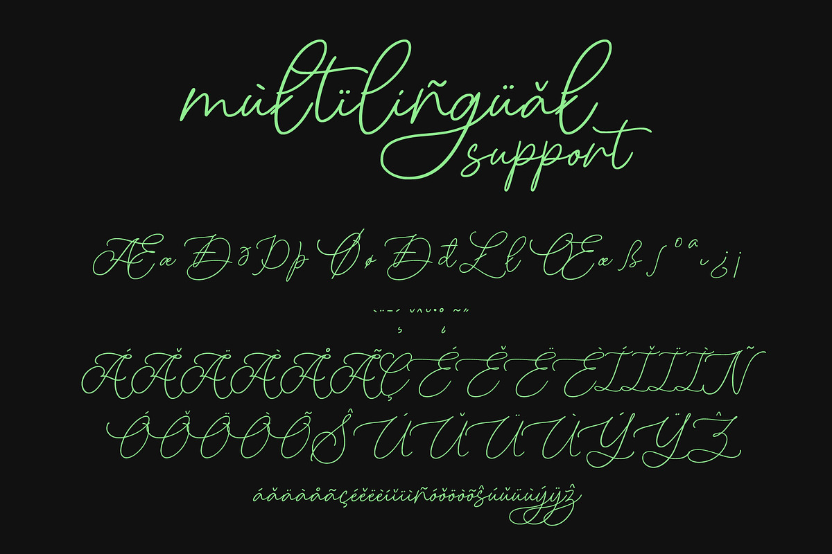 Marcellyna - Soft Luxury Script, a Script Font by Inviline.co (Photo 10 of 12)