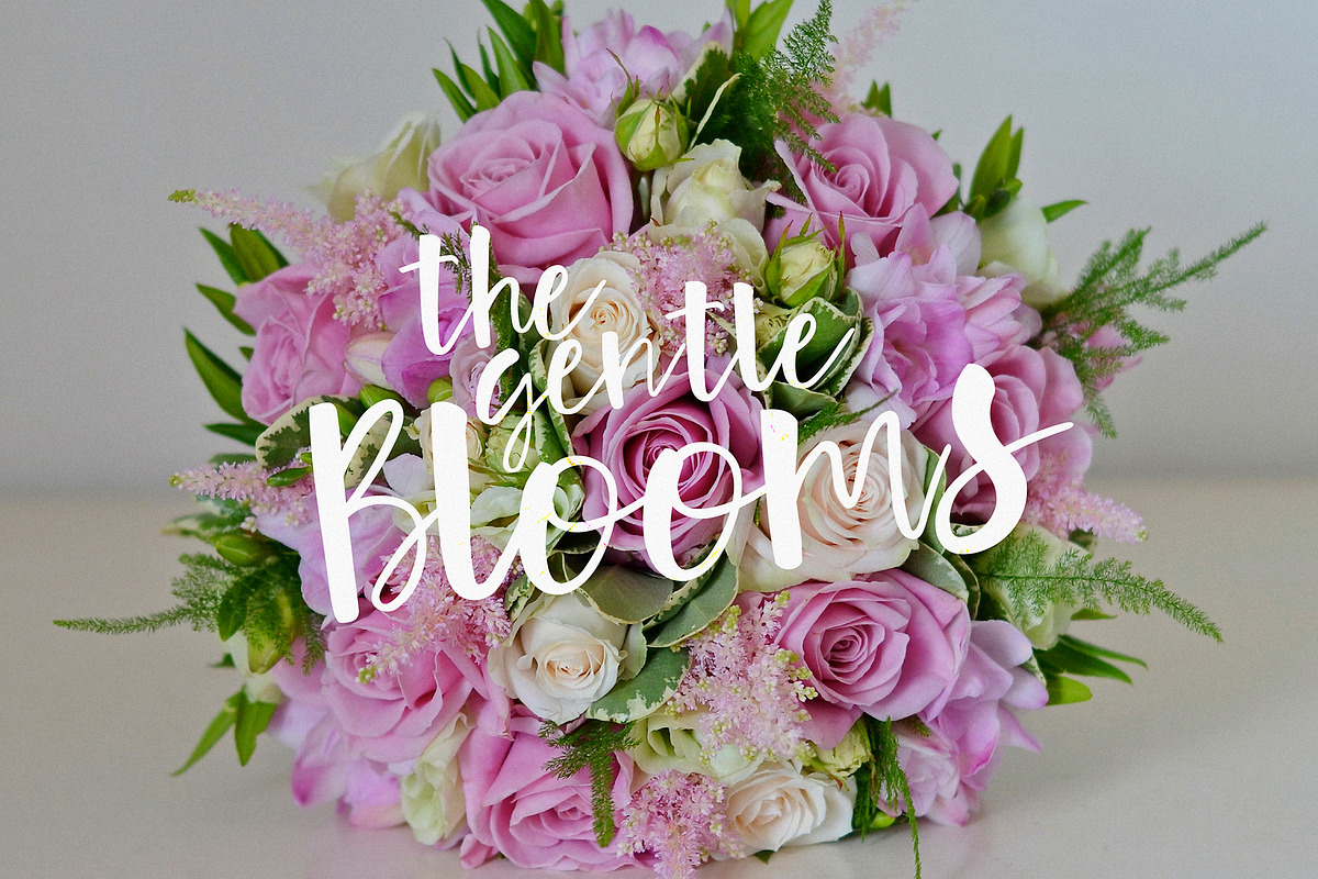 Orange Flower! Typeface with Extras, a Script Font by Anastasia Cuza (Photo 4 of 9)