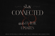 Stolen Love - Elegant serif typeface, a Serif Font by VP Fonts (Thumbnail 21 of 34)