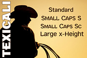 Texicali Alt 88 Font Set, a Font by FontMesa (Thumbnail 2 of 2)