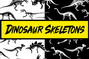 Dinosaurs Skeletons Patterns And Set