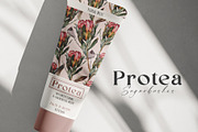 Watercolor Protea Floral Elements, a Decorative Illustration by Damian Roh (Thumbnail 3 of 12)