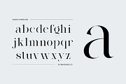 Ganer | Serif Display Typeface, a Serif Font by Mahesans Co (Thumbnail 3 of 10)
