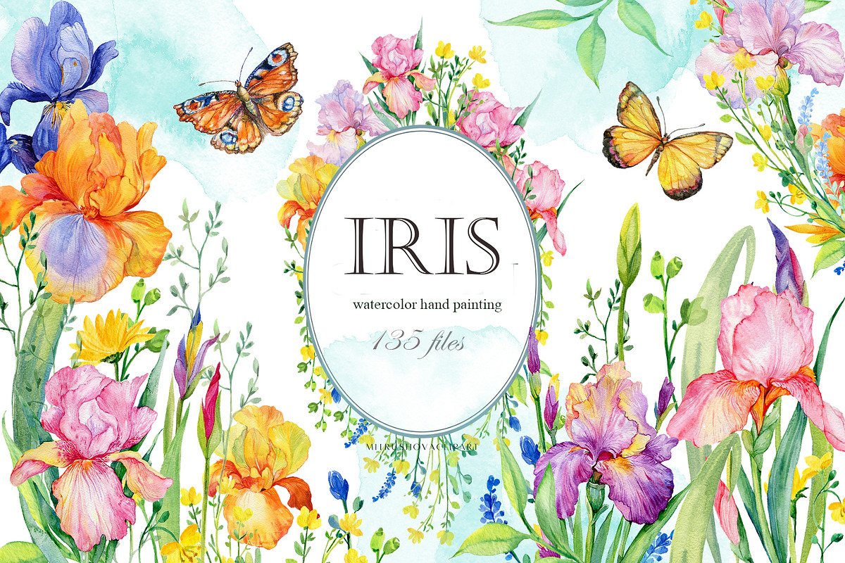 Iris watercolor set, a Decorative Illustration by MitrushovaArt (Photo 1 of 13)