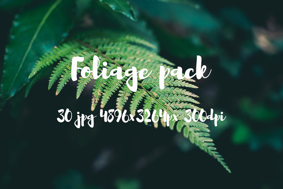 Foliage pack, a Templates & Theme by ApertureVintage (Photo 12 of 21)