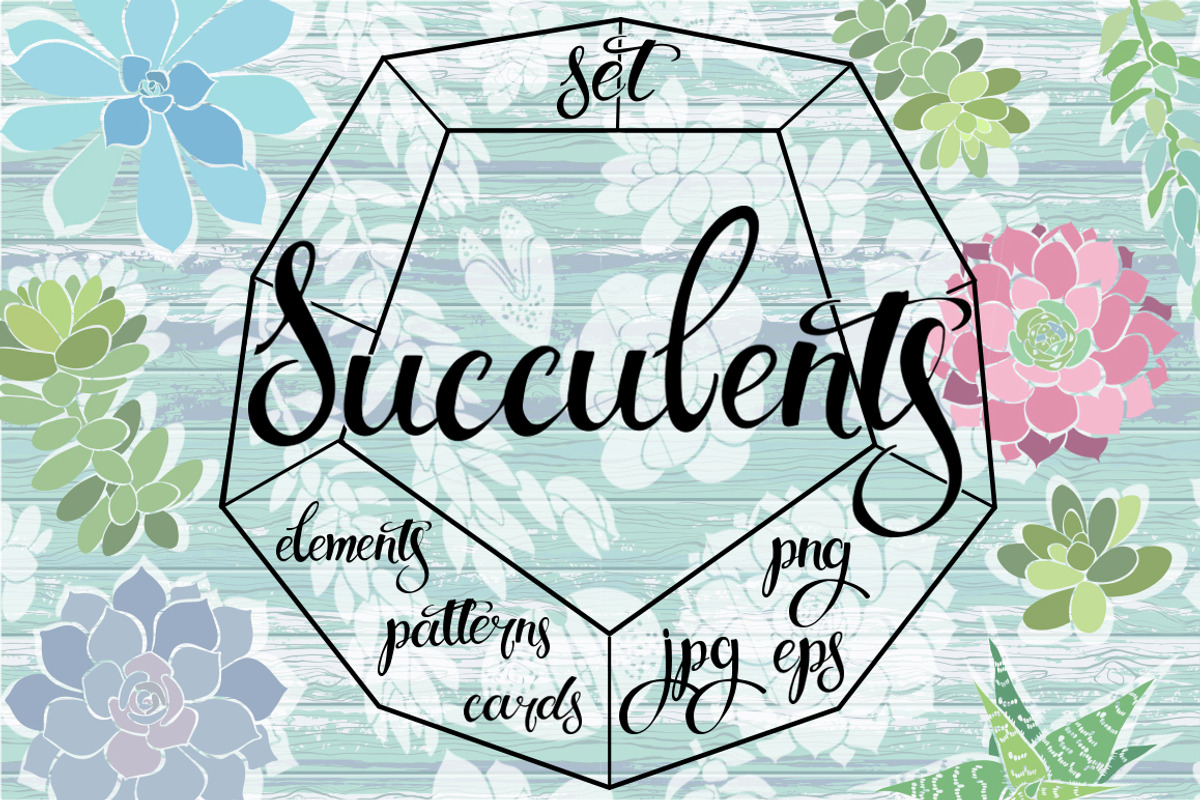 Succulents., an Illustration by maritime_m (Photo 1 of 8)