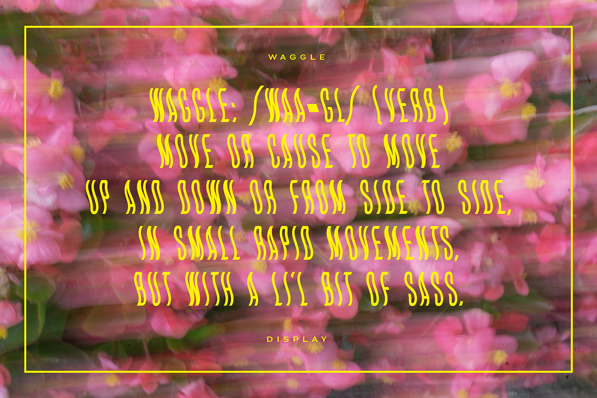 WAGGLE Display Font preview 8
