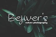 Jenivers Font, a Script Font by ponuppo (Thumbnail 4 of 4)