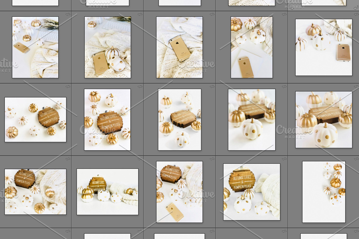 Fall Pumpkin Stock Image Bundle, a Holiday Photo by Studio Chic Designs (Photo 4 of 4)