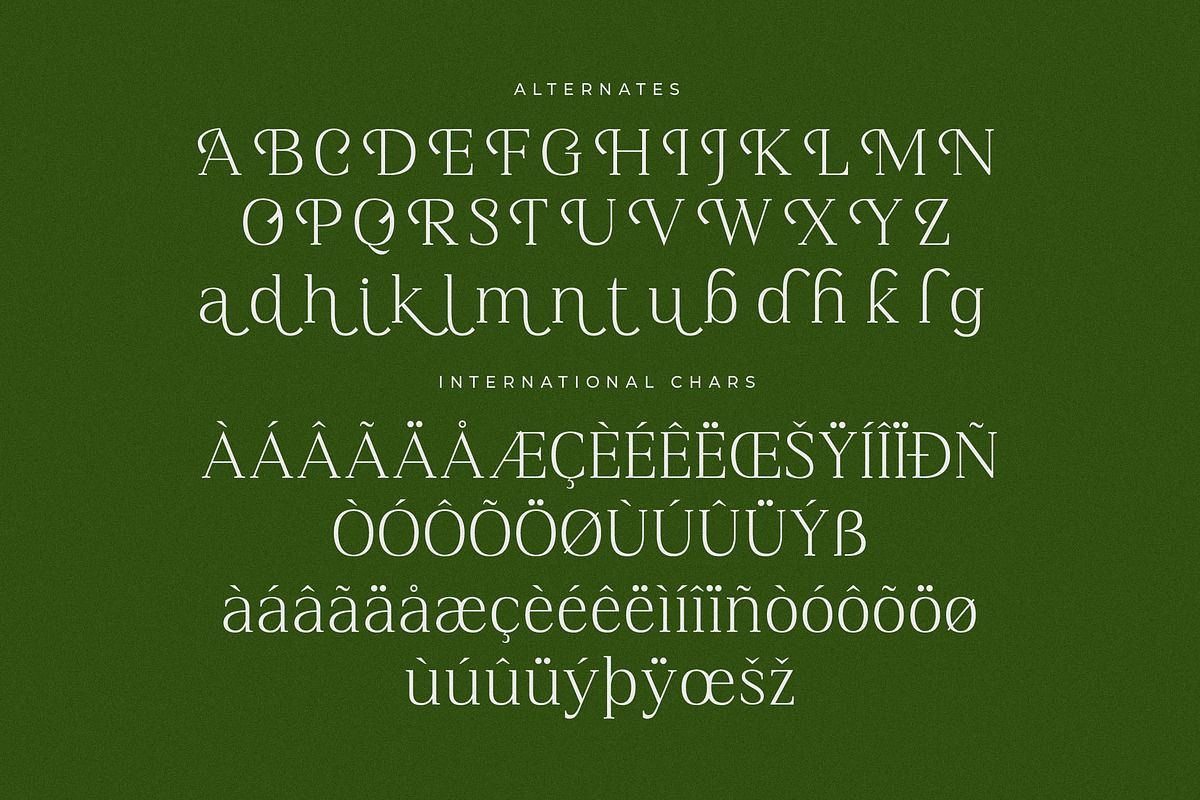 Blacindy Modern Serif Font, a Serif Font by Letterena Studios (Photo 14 of 15)