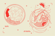 Thai Food Vector Illustrations, a Food Illustration by TheFoodAtlas (Thumbnail 13 of 19)