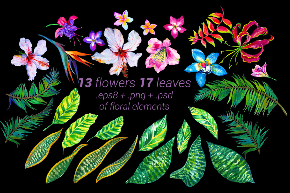Aloha - tropical flowers kit., an Illustration by RosaPompelmo (Photo 2 of 5)