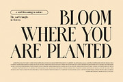 Kangen Modern Serif Font, a Serif Font by Perfectype (Thumbnail 2 of 8)