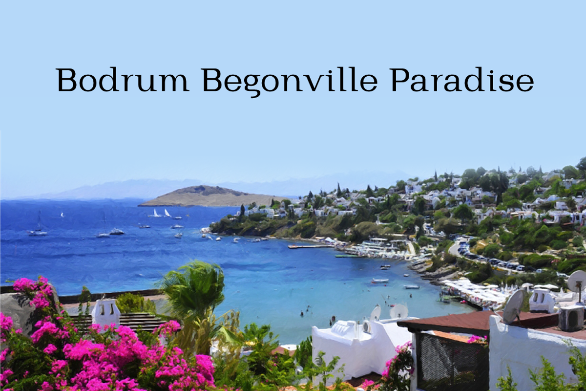 Bodrum Style, a Slab Serif Font by BULENT YUKSEL (Photo 5 of 12)