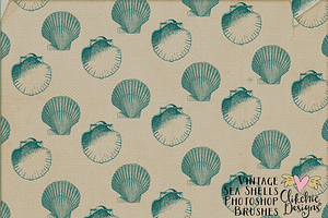 Vintage Sea Shell Photoshop Brushes