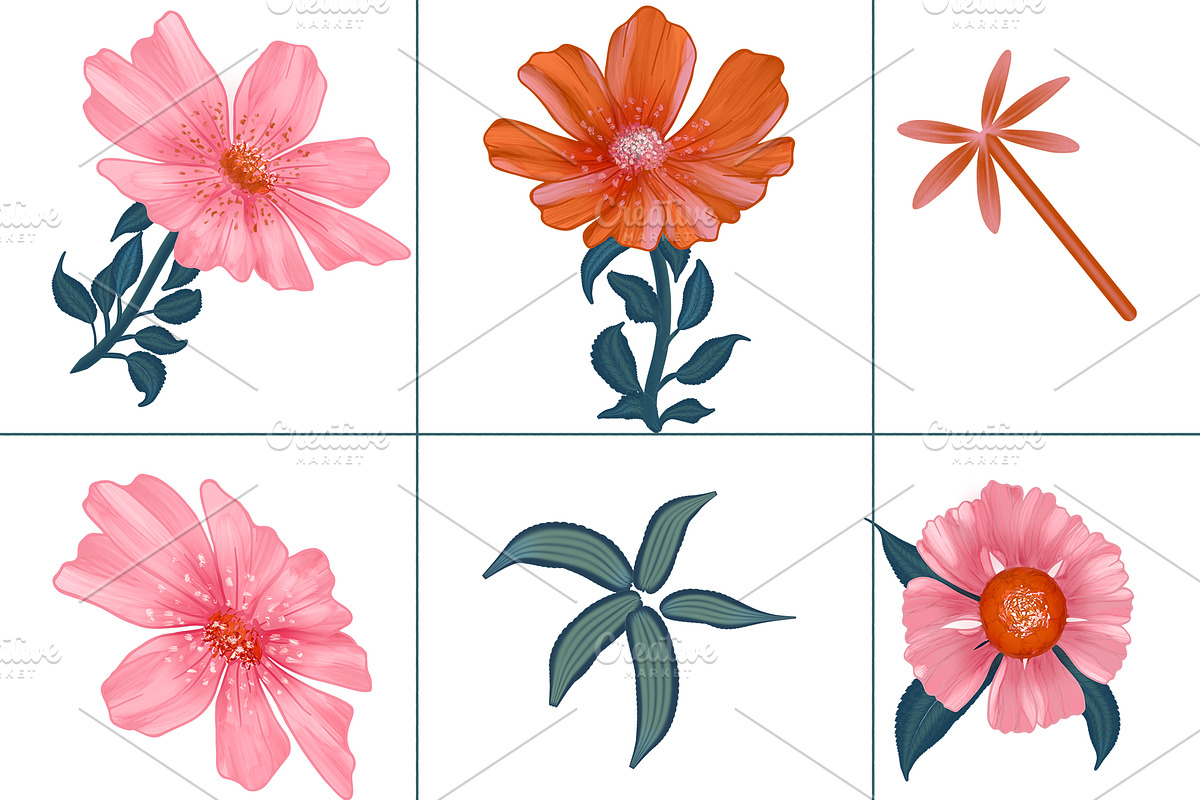 Desert Rose Botanicals Collection, a Pattern Graphic by Nora Gad (Photo 17 of 19)