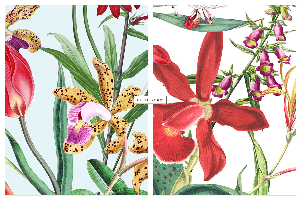 Exotic Orchids, Prints & Motif!, a Pattern Graphic by TSTUDIO (Photo 2 of 10)