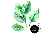 Watercolor Ingredients Vector Set, a Food Illustration by Elena Pimonova (Thumbnail 4 of 4)