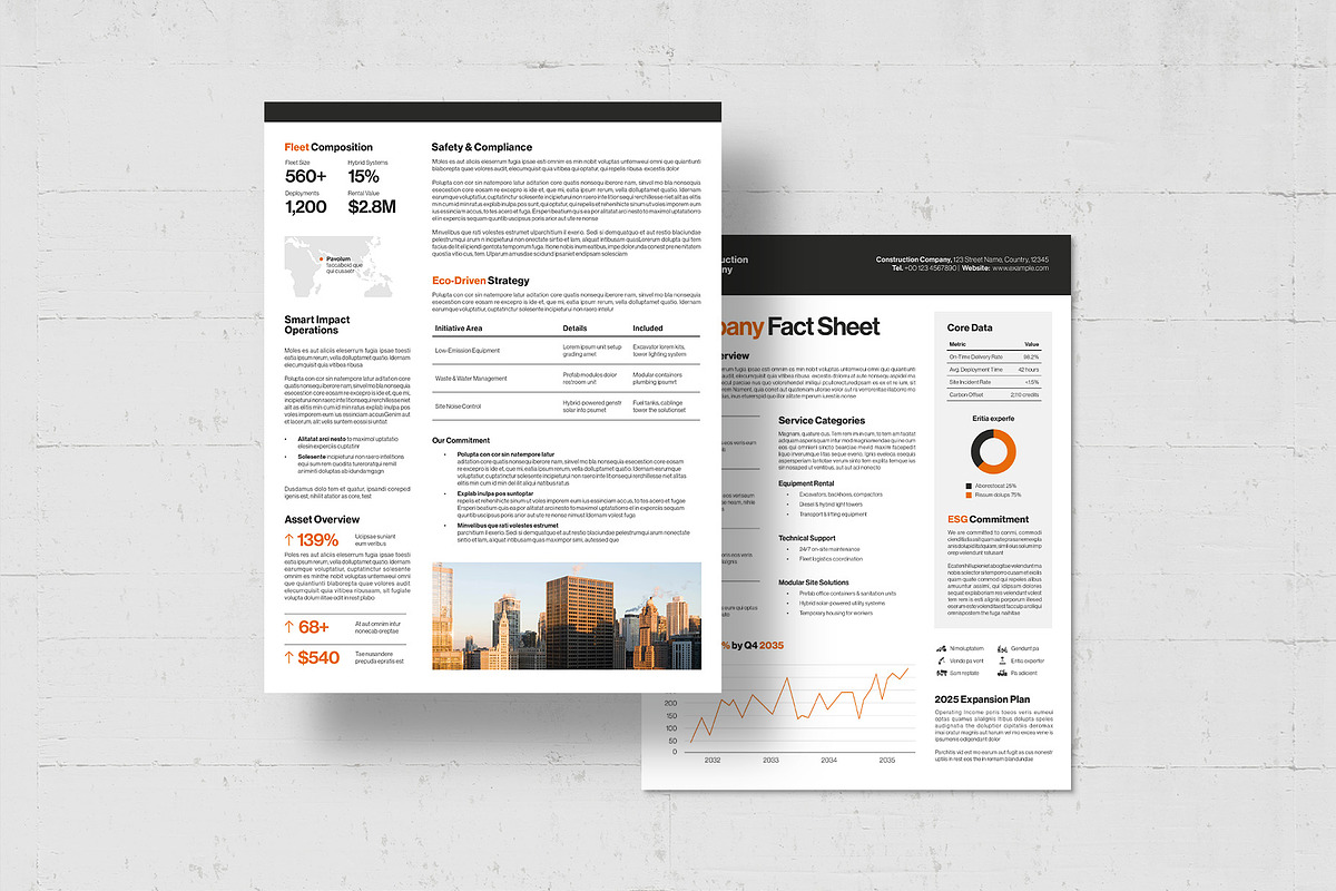 Factsheet Template, a Flyer Template by BrandPacks