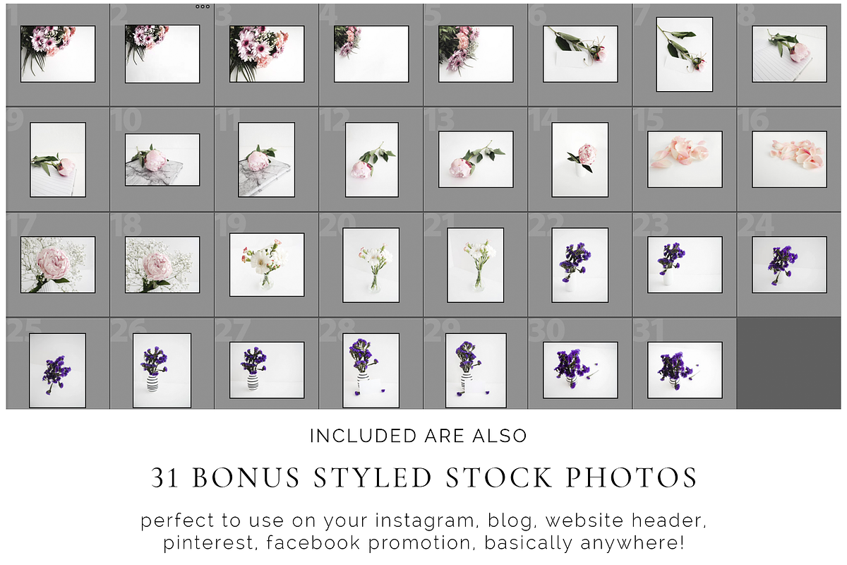 Blush & Lavender Bloom Bundle, a Print Template by Imperium Nordique (Photo 6 of 6)