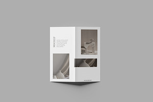 DL Brochure Bi-fold Mockup