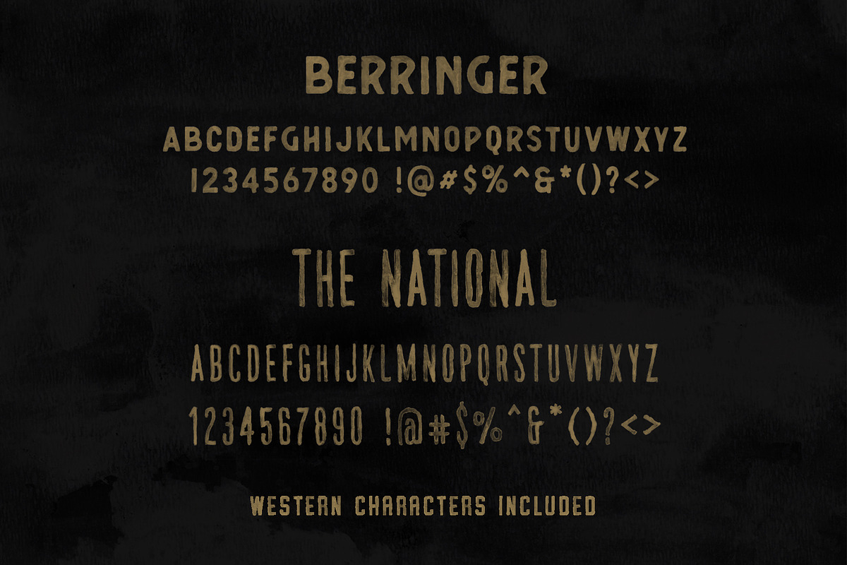 Vintage SVG Bundle & Templates preview 5