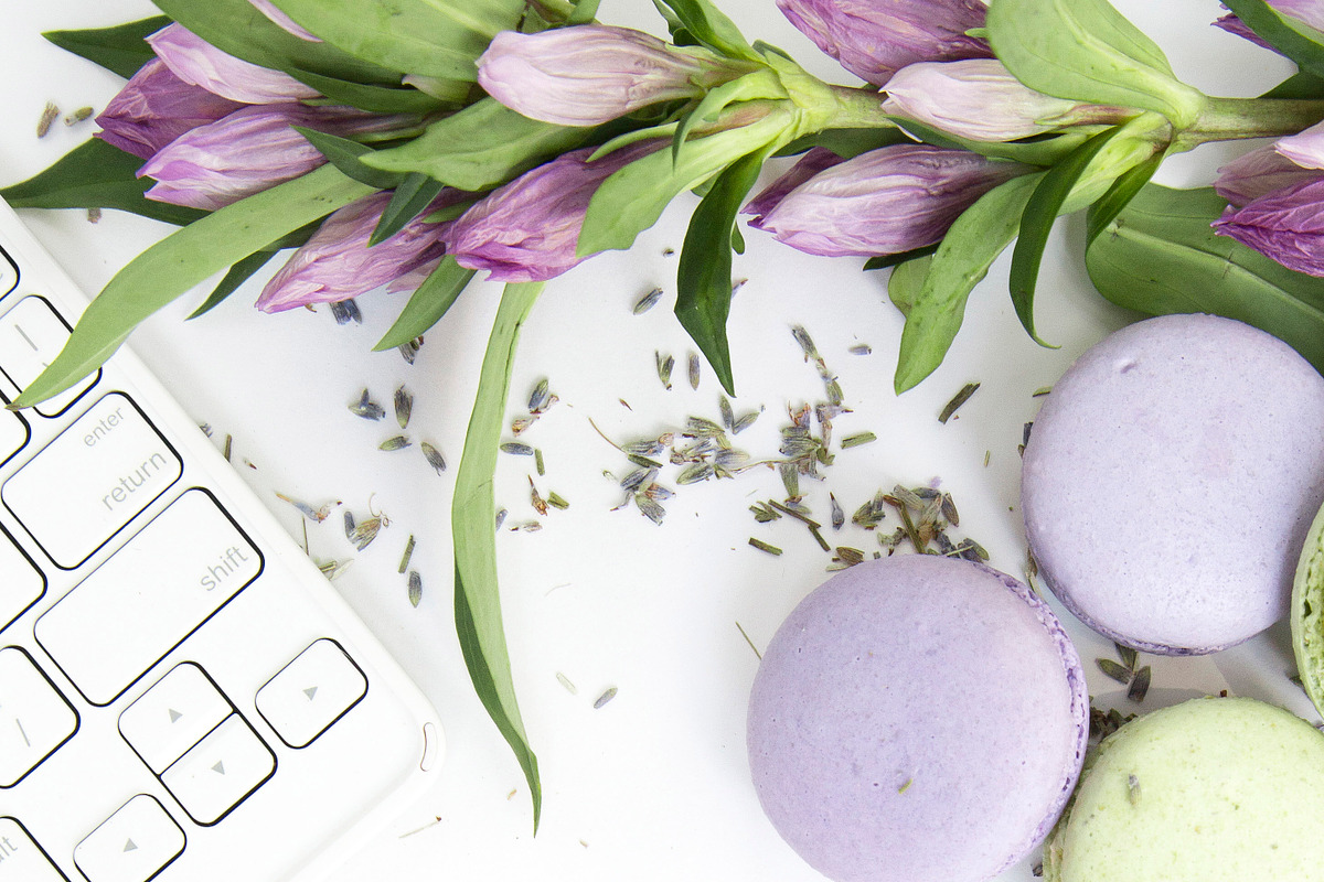 Macarons Photo Bundle & Mockups, an iPhone Mockup by Say Hello Photos (Photo 5 of 5)