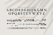 Belrose Cavellier A Modern Font Duo, a Script Font by Ainun Jinan (Thumbnail 12 of 12)