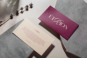 Noxivane — Stylish Serif Script, a Serif Font by Almeera Std (Thumbnail 5 of 10)