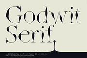 Godwit Font Family with Extras, a Serif Font by Yasir Ekinci (Thumbnail 1 of 25)