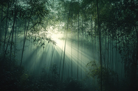 Beautiful Rays of Sunlight Shining T, a Photo by Tanuart