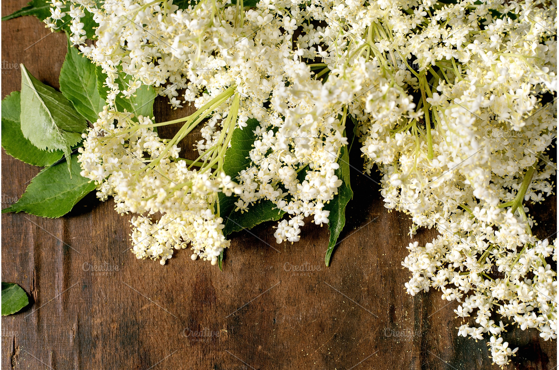 Fresh Elderflower Blossoms on Wooden, a Nature Photo by Natasha Breen