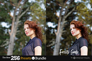 256 New Lightroom Preset Bundle, an Action Add-On by Presetrain Co. (Thumbnail 26 of 51)