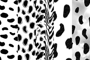 Graphic Rainbow Leopard Pattern Set