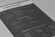 Retro Resume, a Resume Template by sz81 (Thumbnail 3 of 4)