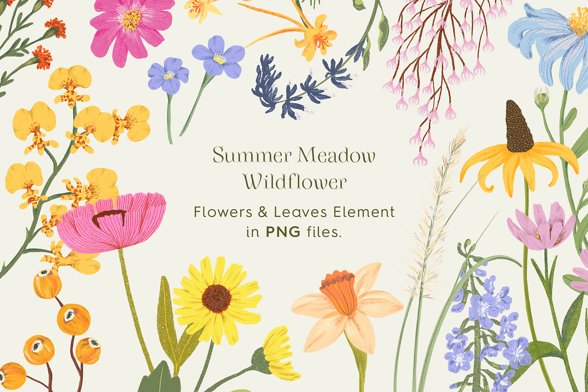 Summer Meadow Wildflower, a Decorative Illustration by Manimanisa (Photo 2 of 12)