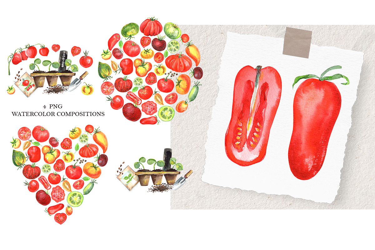 Watercolor TOMATOE, a Food Illustration by JennyColorArt (Photo 2 of 9)