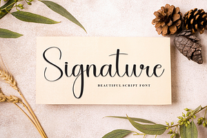 Welcome Summer Script Font