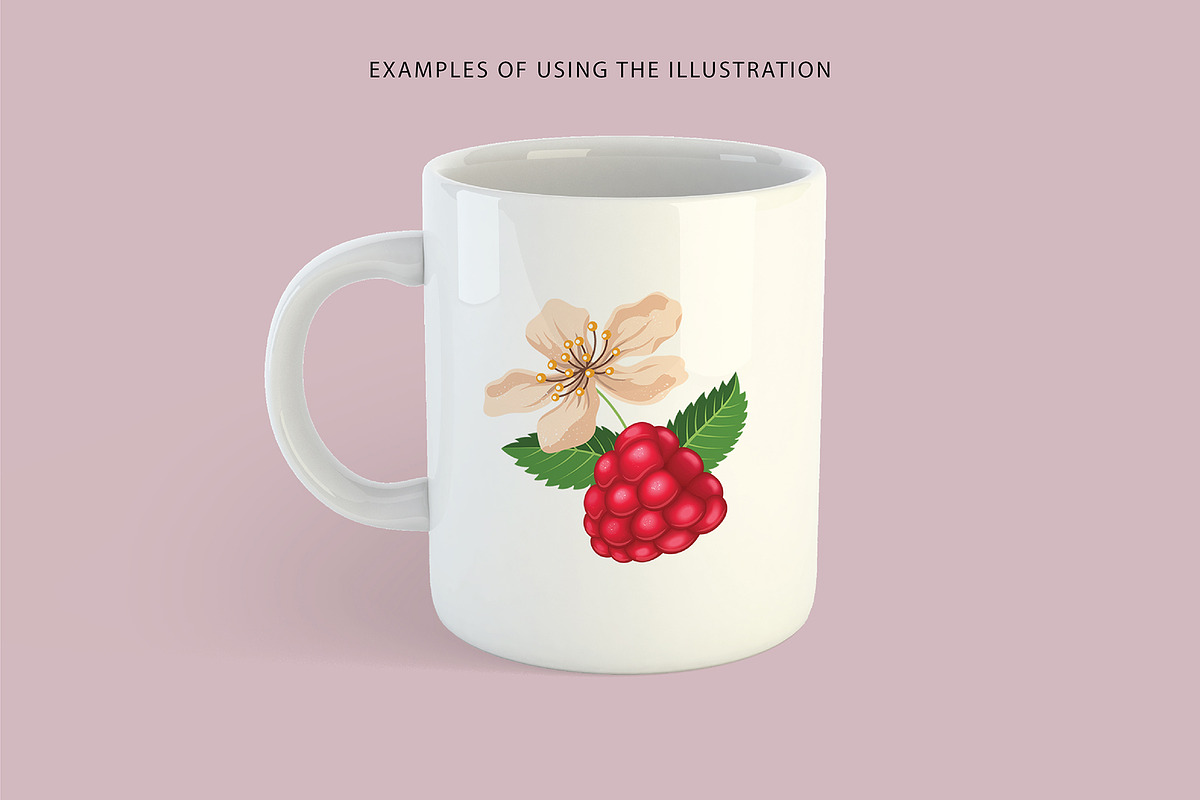 Delicious raspberries vector set, a Graphic by natamastery (Photo 8 of 8)