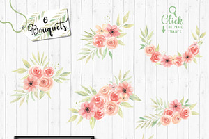 Watercolor Flower Clipart Peach