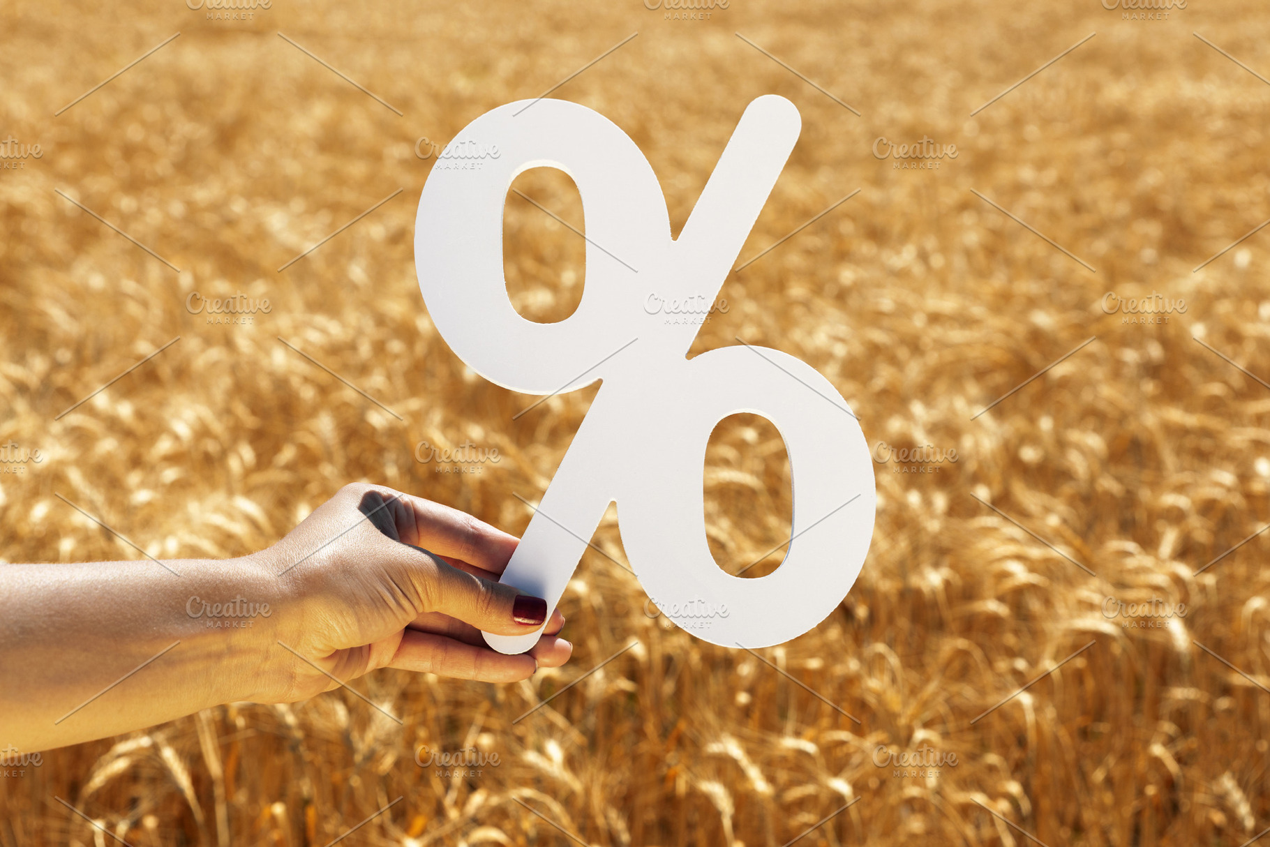 Woman’s hand holding a large white percent sign over a ripe wh, a Nature Photo by Ales Munt