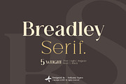 Breadley Serif, a Serif Font by Ardyanatypes (Thumbnail 1 of 12)