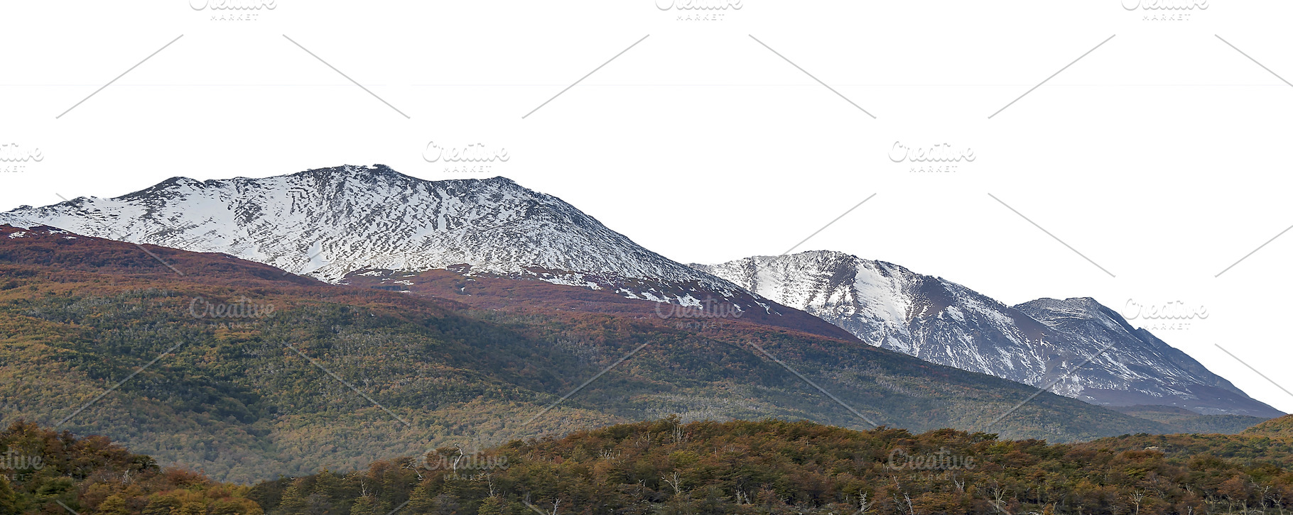 Snowy mountains and forest patagonia landscape isolated photo, a Nature Photo by DanFLCreativo