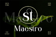 Qitello Ligature Serif Typeface, a Serif Font by Alfinart (Thumbnail 10 of 10)